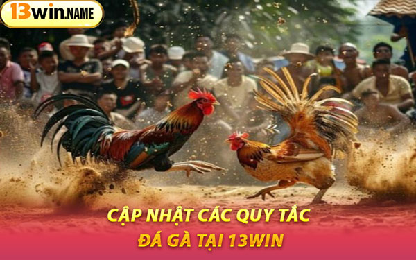 Cập Nhật Các Quy Tắc Đá Gà Tại 13WIN