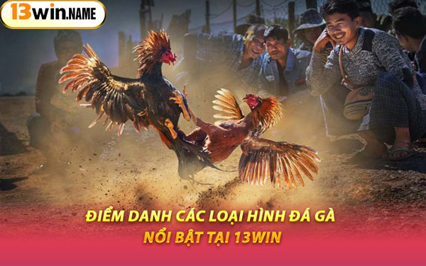Điểm Danh Các Loại Hình Đá Gà Nổi Bật Tại 13WIN