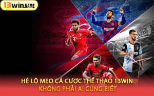 Hé Lộ Mẹo Cá Cược Thể Thao 13WIN Không Phải Ai Cũng Biết